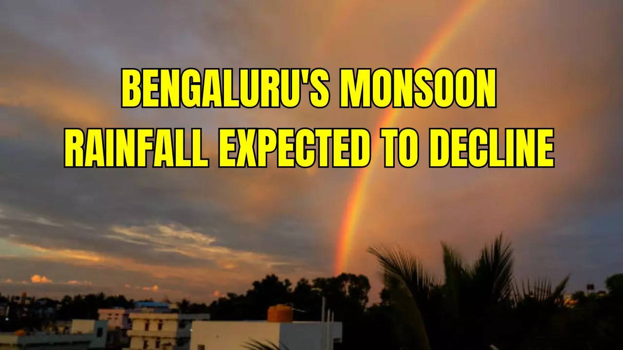 बेंगलुरू-में-मानसून-की-बारिश-में-कमी,-सूखते-पौधों-पर-चिंता;-यह-गिरावट-क्यों?